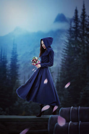 精品久久久久中文字幕